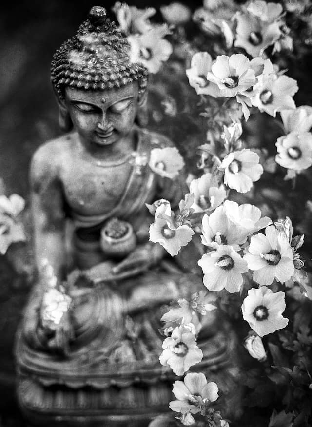 budda and flowers